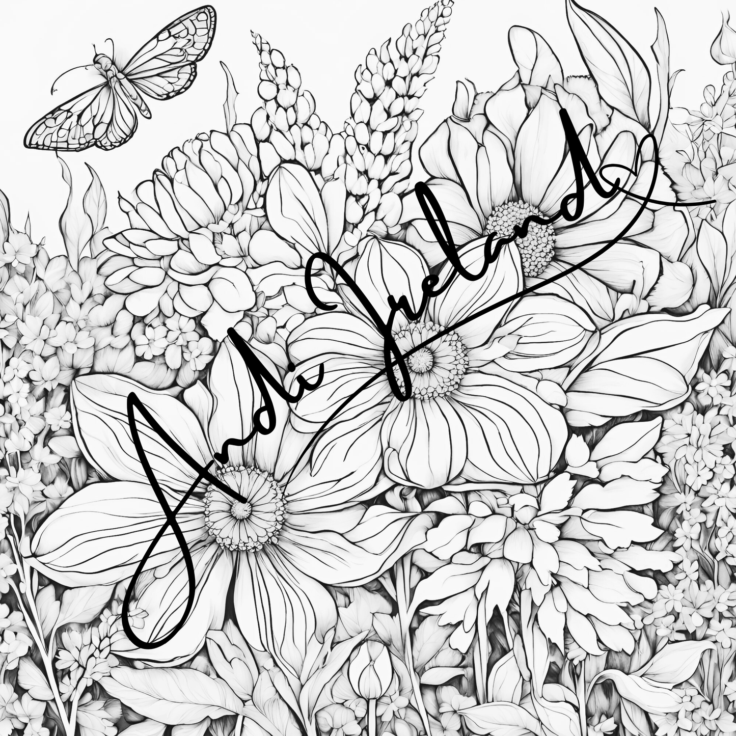 MindSpace Creatives Adult Coloring Book