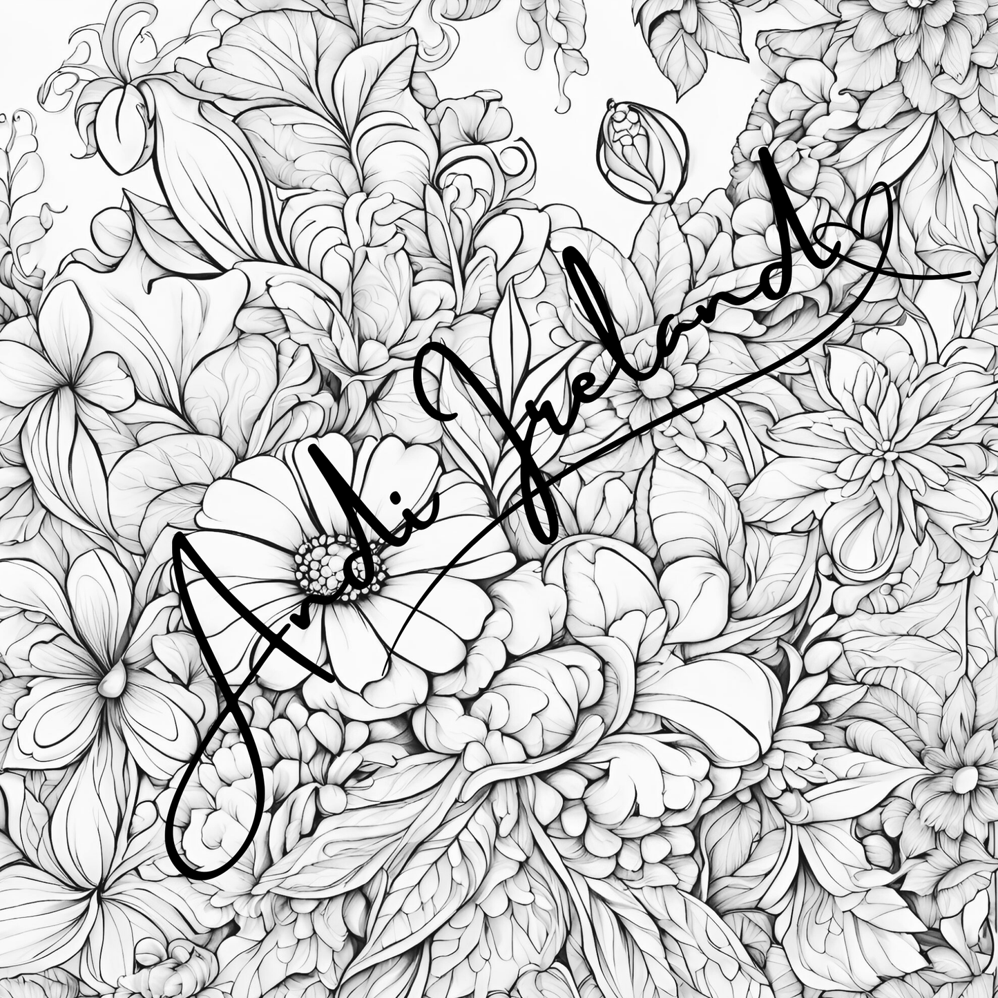 MindSpace Creatives Adult Coloring Book