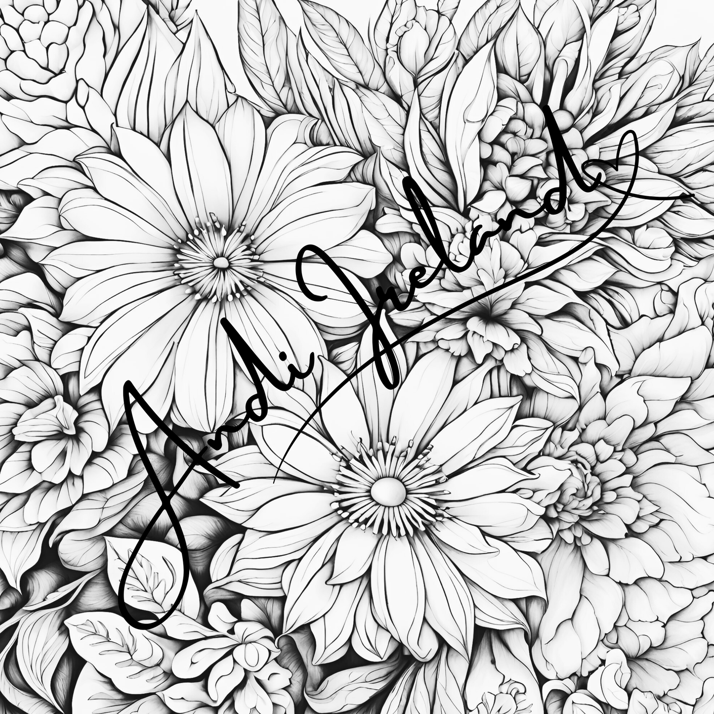 MindSpace Creatives Adult Coloring Book