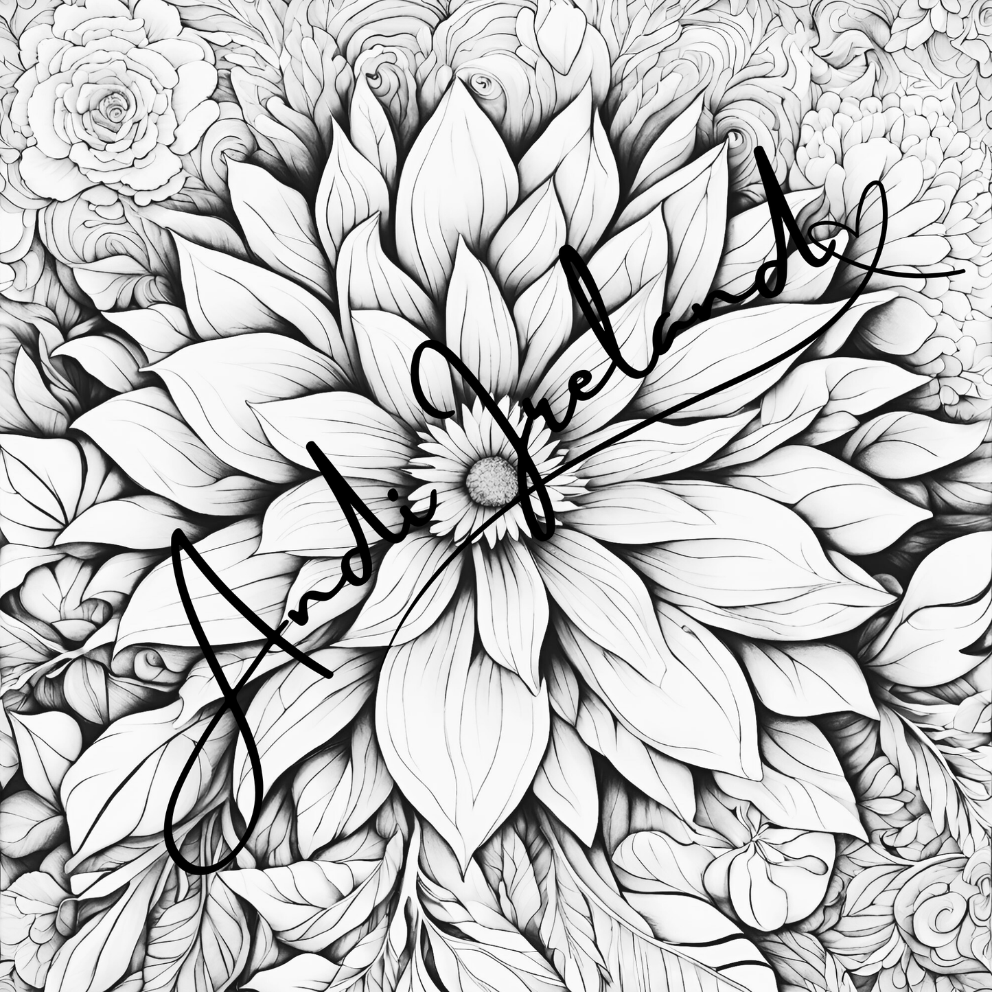 MindSpace Creatives Adult Coloring Book