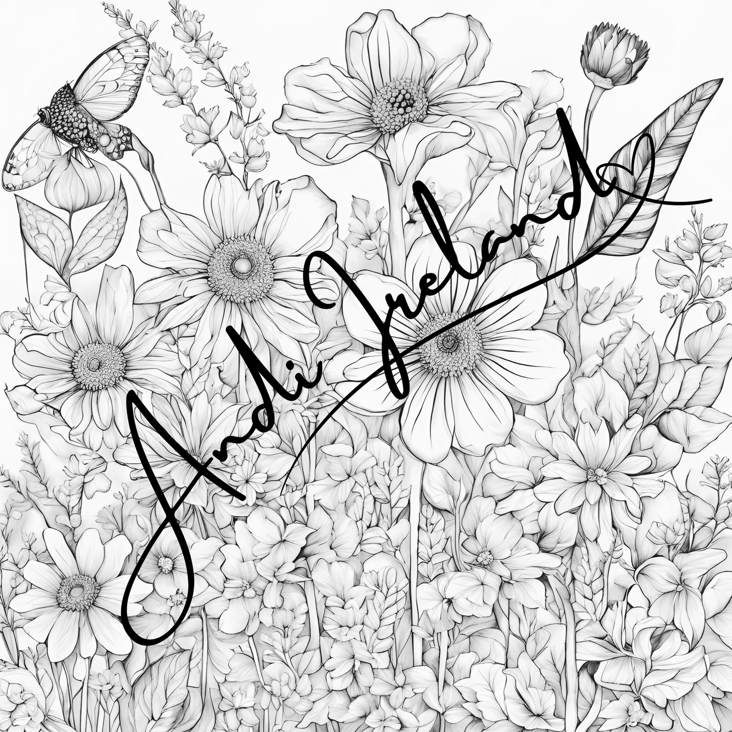 MindSpace Creatives Adult Coloring Book