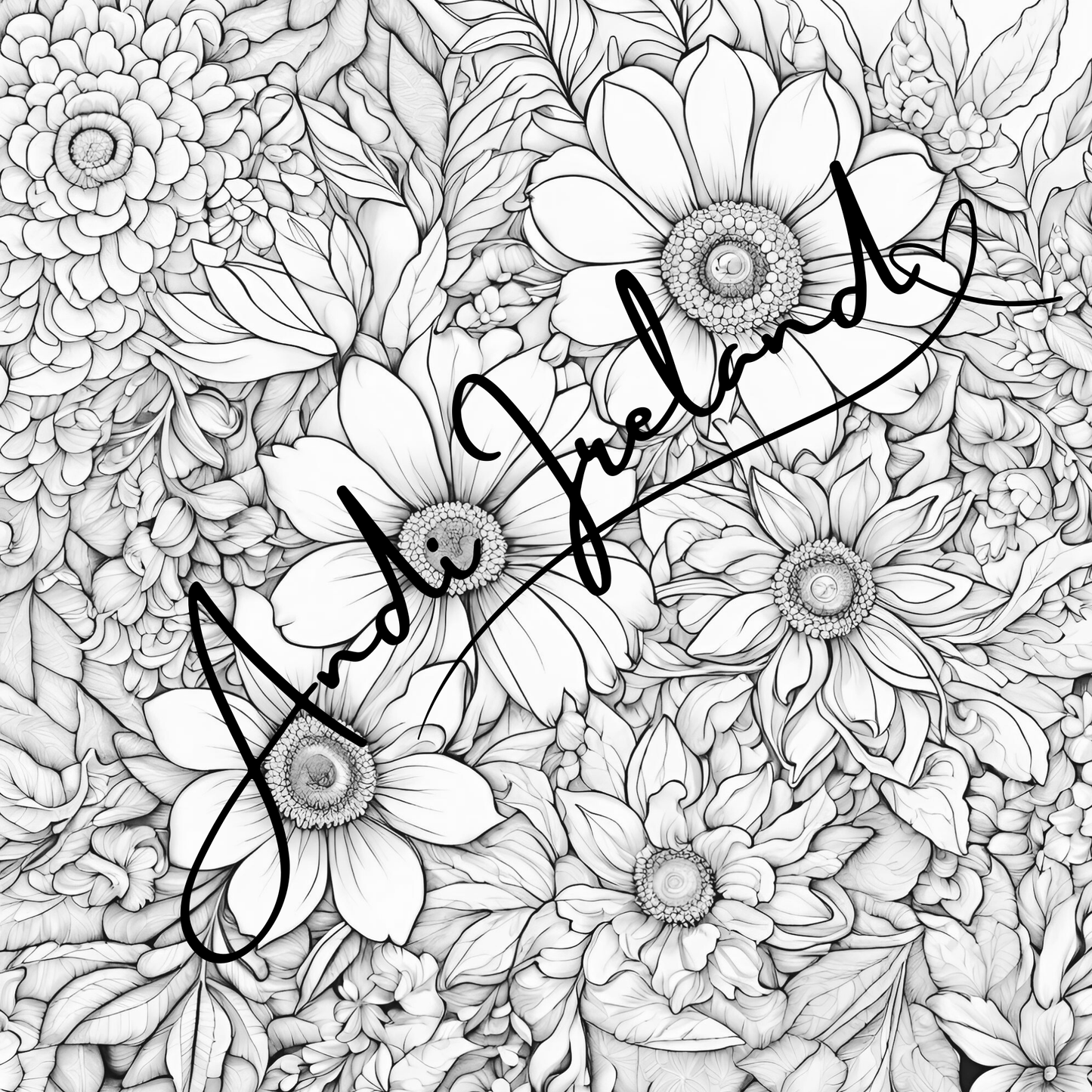 MindSpace Creatives Adult Coloring Book