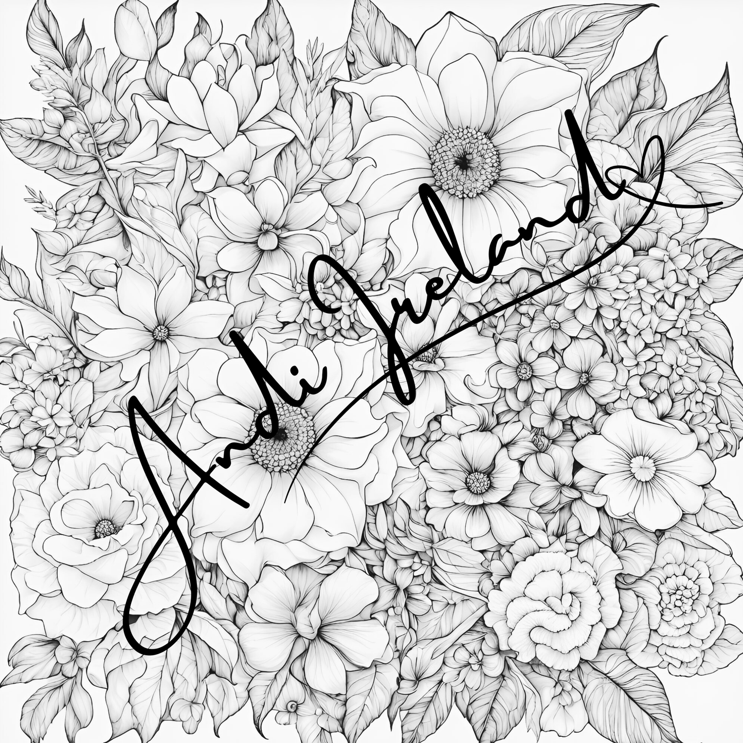 MindSpace Creatives Adult Coloring Book