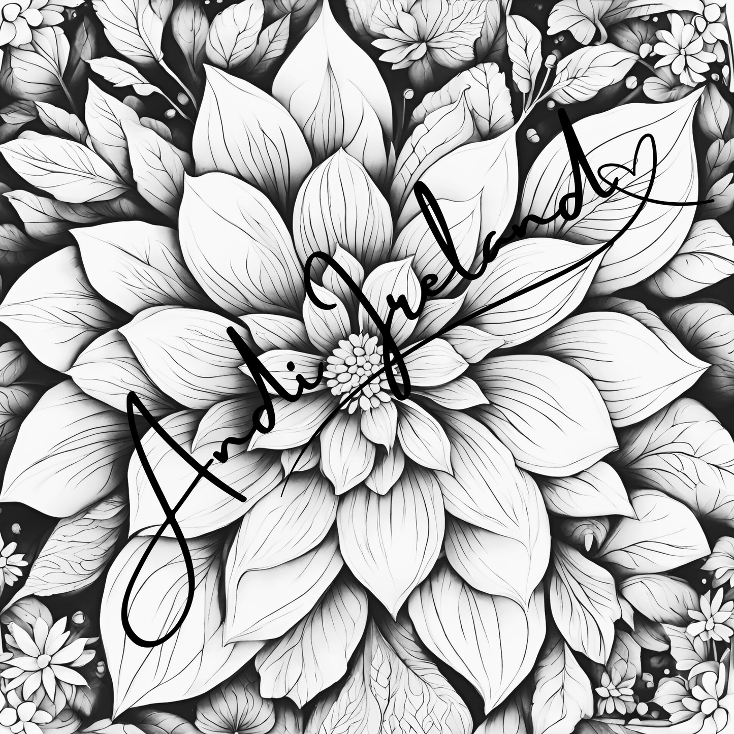 MindSpace Creatives Adult Coloring Book