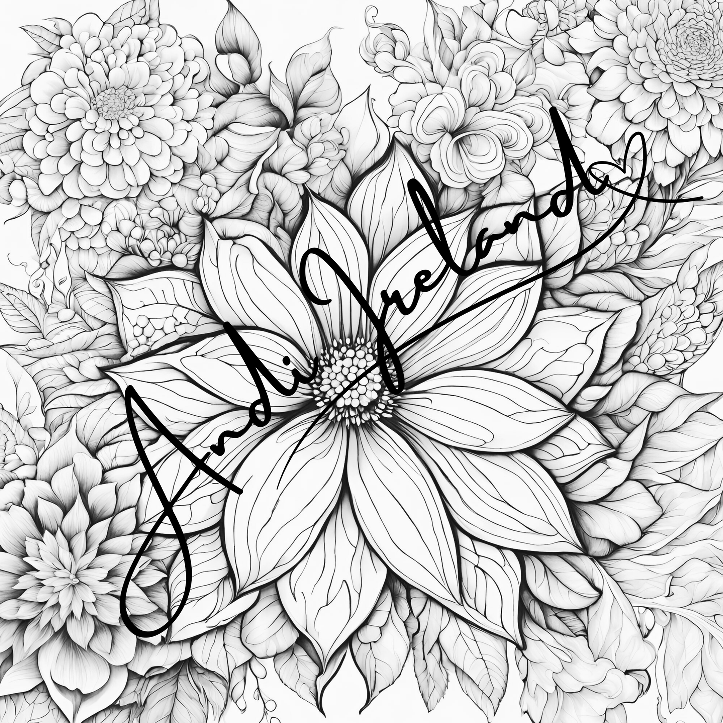 MindSpace Creatives Adult Coloring Book