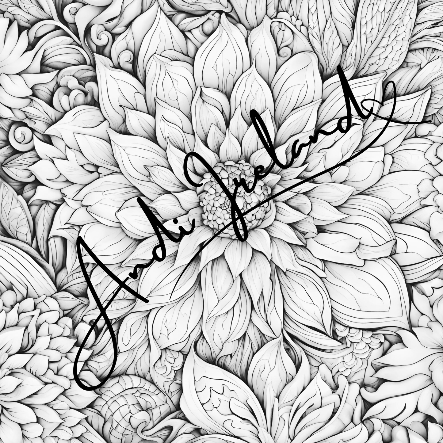 MindSpace Creatives Adult Coloring Book