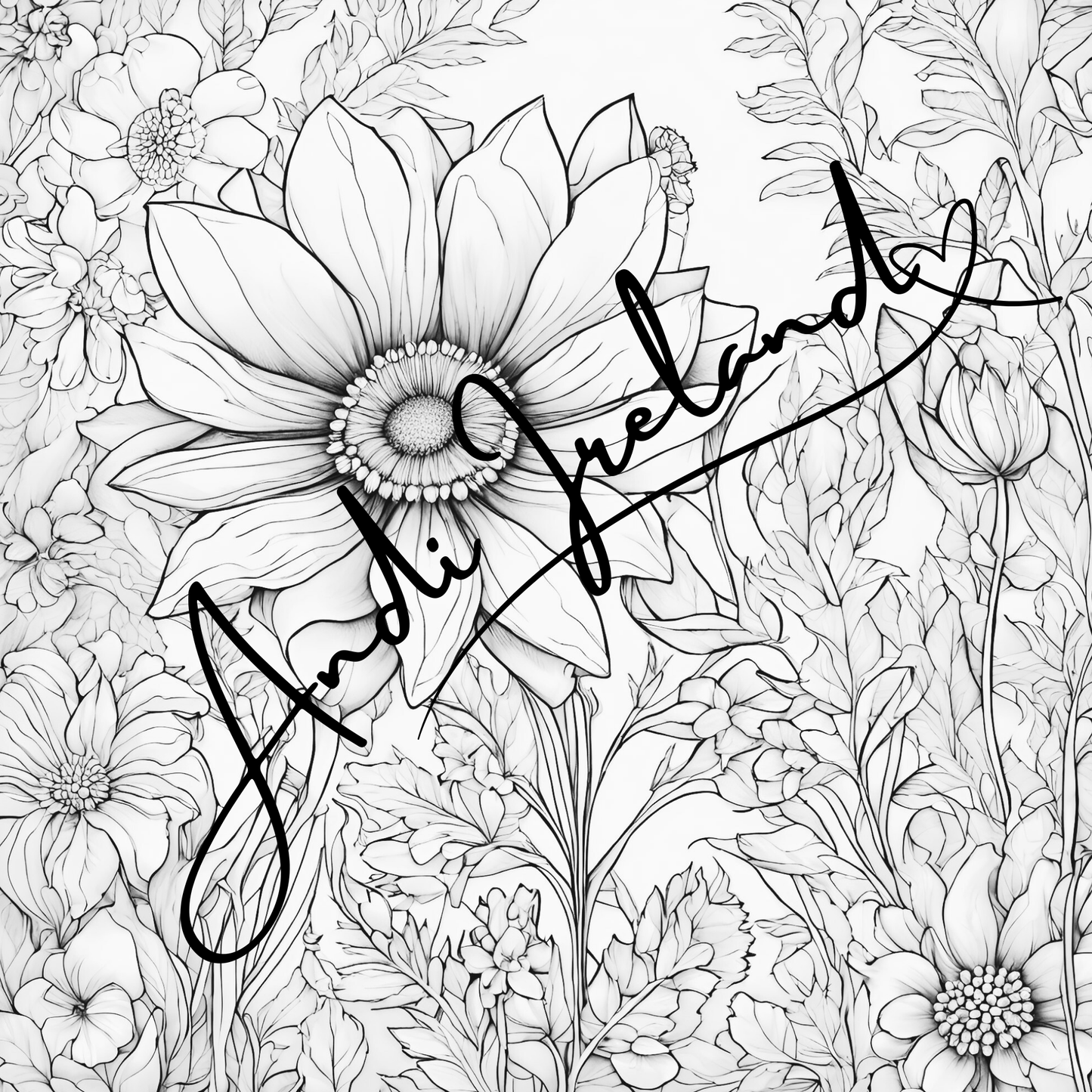 MindSpace Creatives Adult Coloring Book