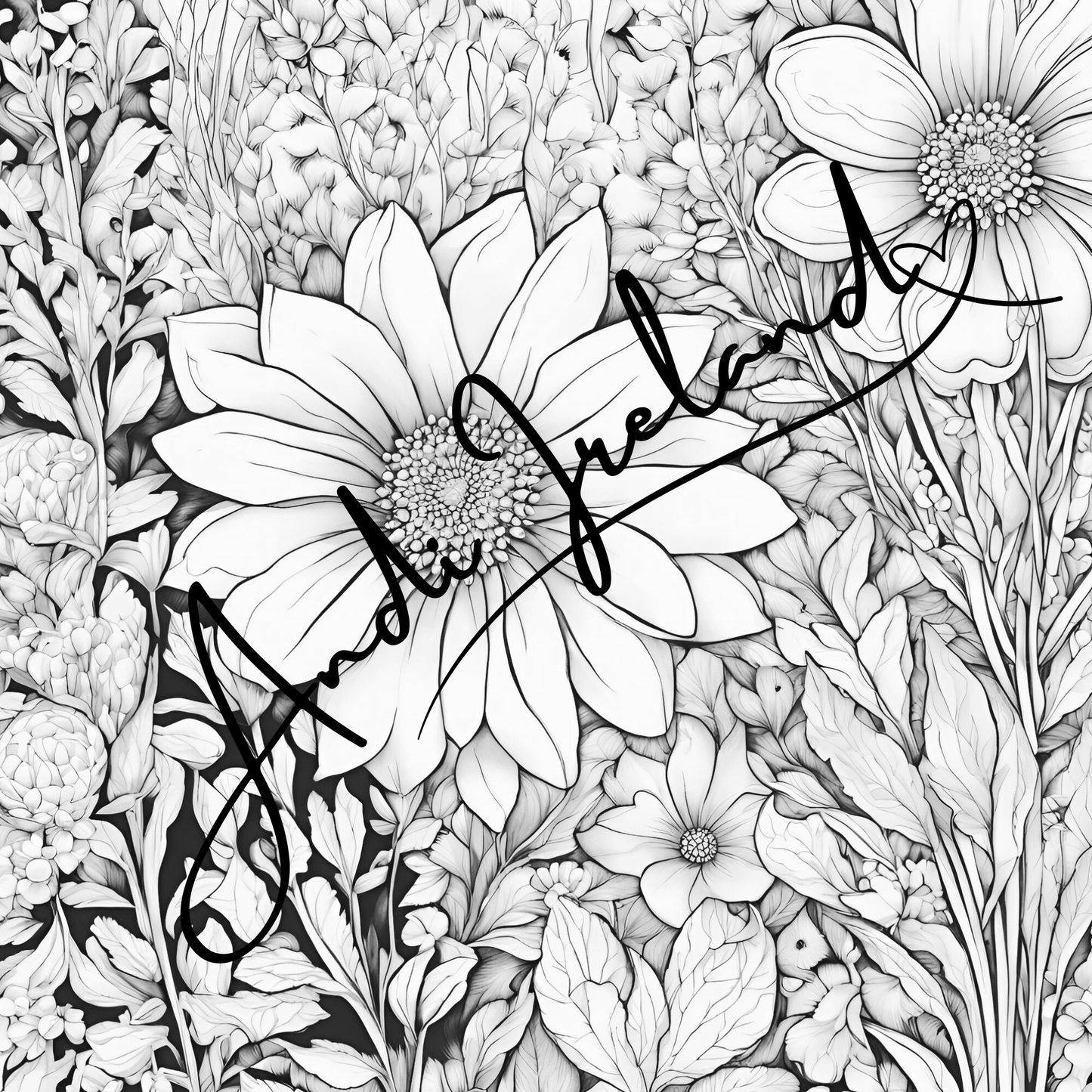 MindSpace Creatives Adult Coloring Book