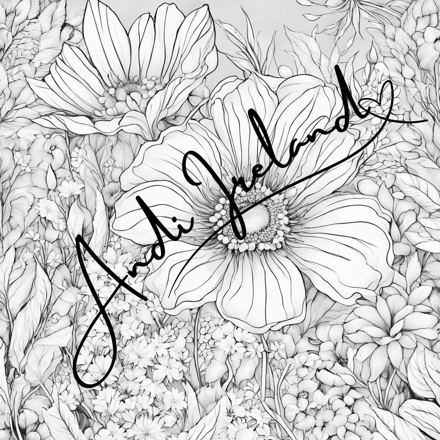 MindSpace Creatives Adult Coloring Book