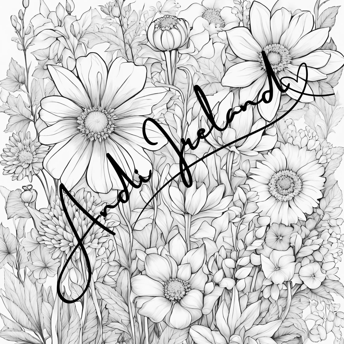 MindSpace Creatives Adult Coloring Book