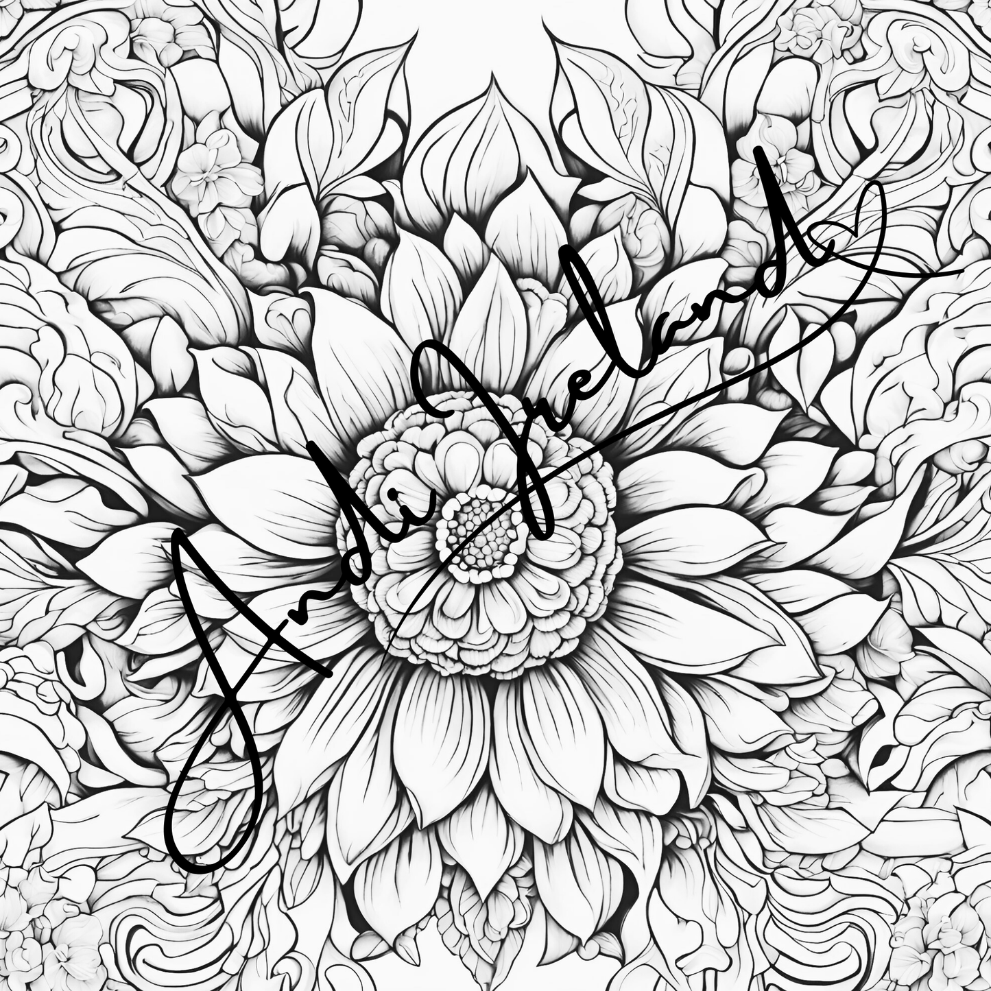 MindSpace Creatives Adult Coloring Book