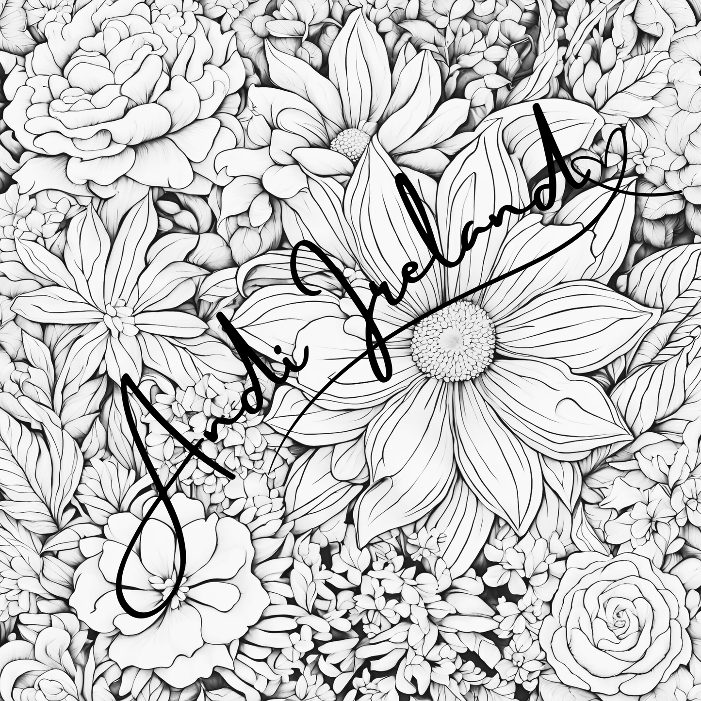 MindSpace Creatives Adult Coloring Book