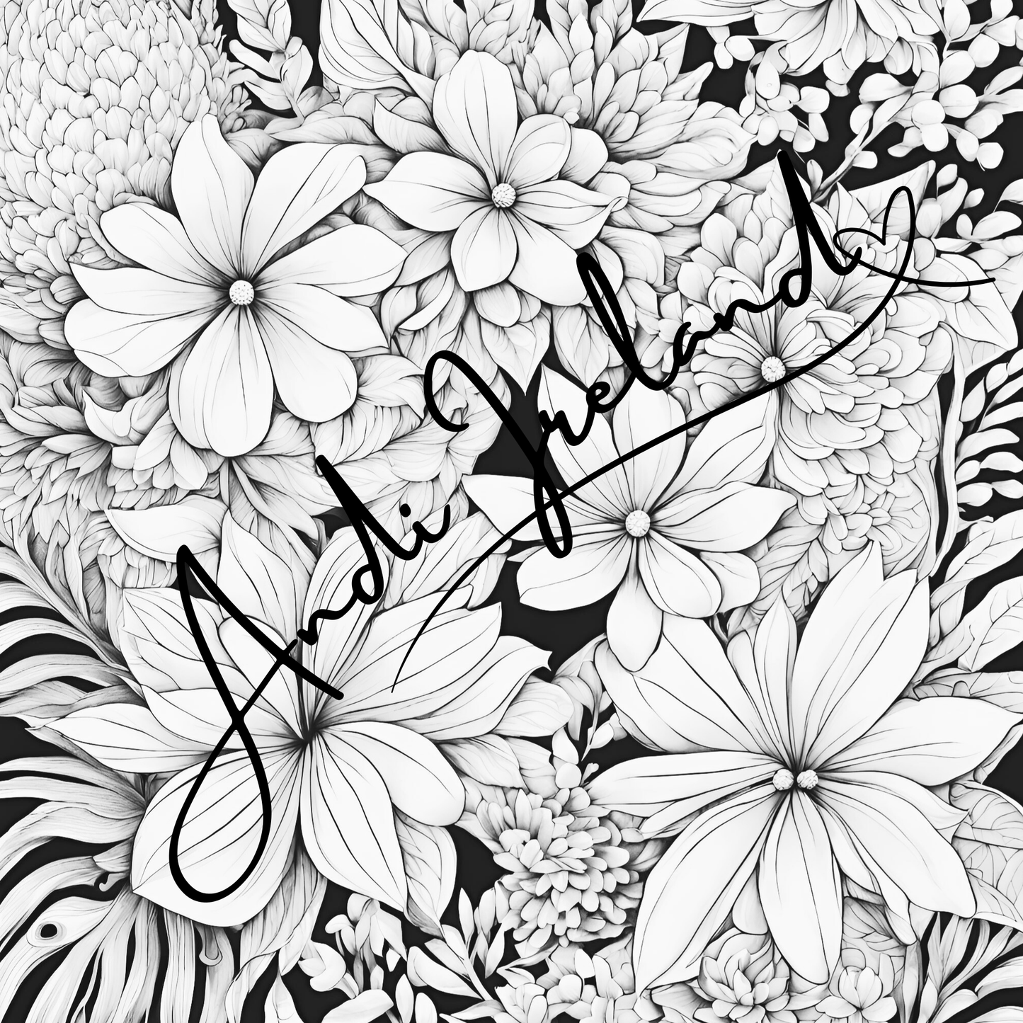 MindSpace Creatives Adult Coloring Book